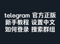 苹果纸飞机怎么设置中文啊、苹果手机纸飞机怎么设置中文