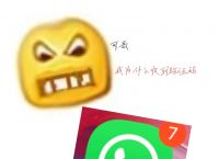 whatsapp安卓版下载百度云、whatsapp安卓手机版下载v22020624免费下载