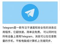 [telegraph平台]telegraphic翻译