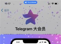 关于纸飞机app怎么调成中文的信息