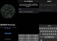 whatsapp跟微信的关系、whatsapp与wechat