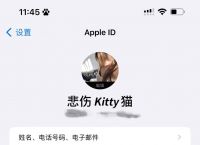 appleid被锁定怎么解除、appleid被锁定怎么解除无法重设密码