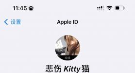 appleid被锁定怎么解除、appleid被锁定怎么解除无法重设密码