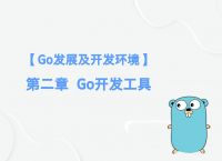 go安装器、go安装器你的网络出现问题请检查后再试