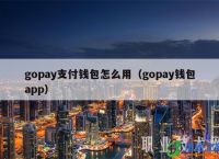 关于gopay005app钱包下载的信息