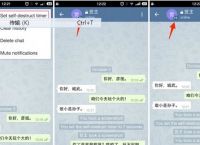 [telegreat怎么设置中文最新]苹果版telegreat中文怎么设置