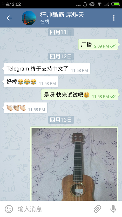 telegreat中文汉化官方版下载[telegreat中文版496下载]