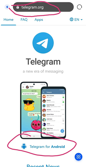 关于Telegram纸飞机ios的信息