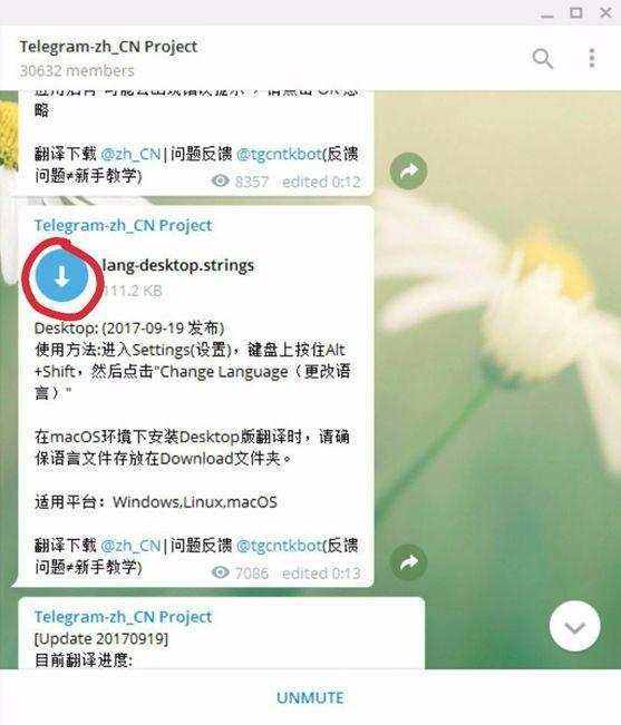 [telegram用来干嘛的]telegram可以用来做什么