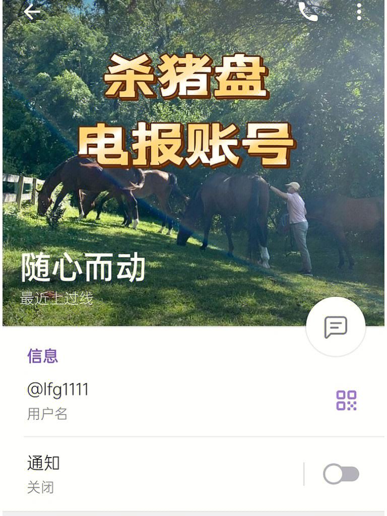 [为什么骗子喜欢加电报]好多诈骗电话为什么要我们加他微信