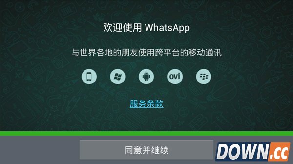 whatsapp更新下载不了-最新版的whatsapp无法更新