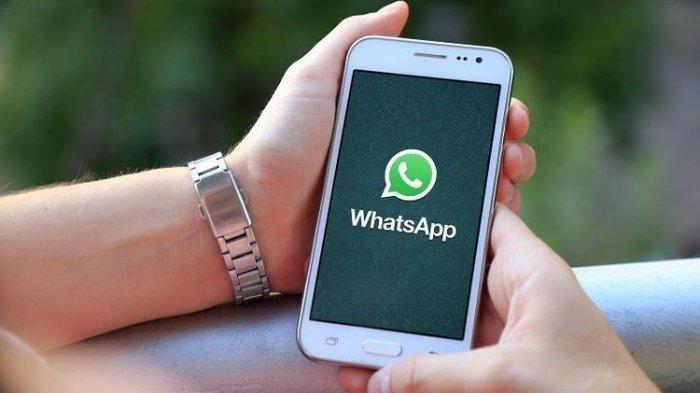 whatsapp安卓能用吗-whatsapp安卓手机可以用吗