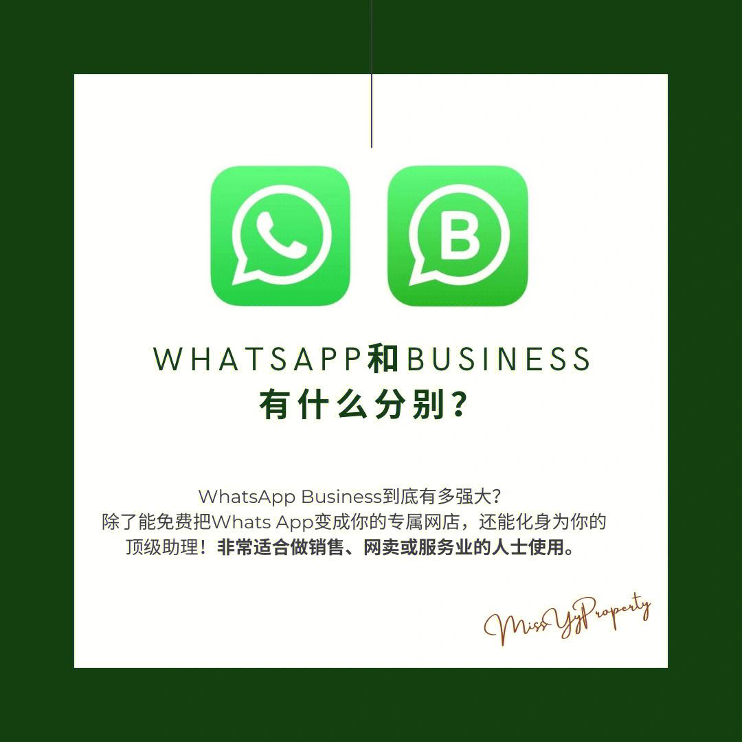 whatsappbusiness安卓下载安装-whatsappbusiness apk download