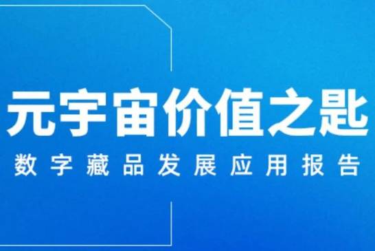 元宇宙数字藏品交易平台官网-元宇宙人类的数字化生存,进入雏形探索期