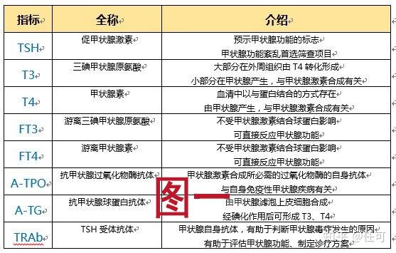 营养学TG是什么意思-营养学中的gi是什么意思