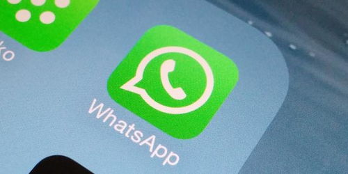 whatsapp回中国怎么才能用-whatsapp回国后怎样才可以用