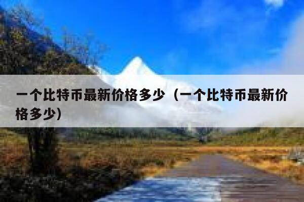 比特币1个最新价格-比特币1个最新价格行情