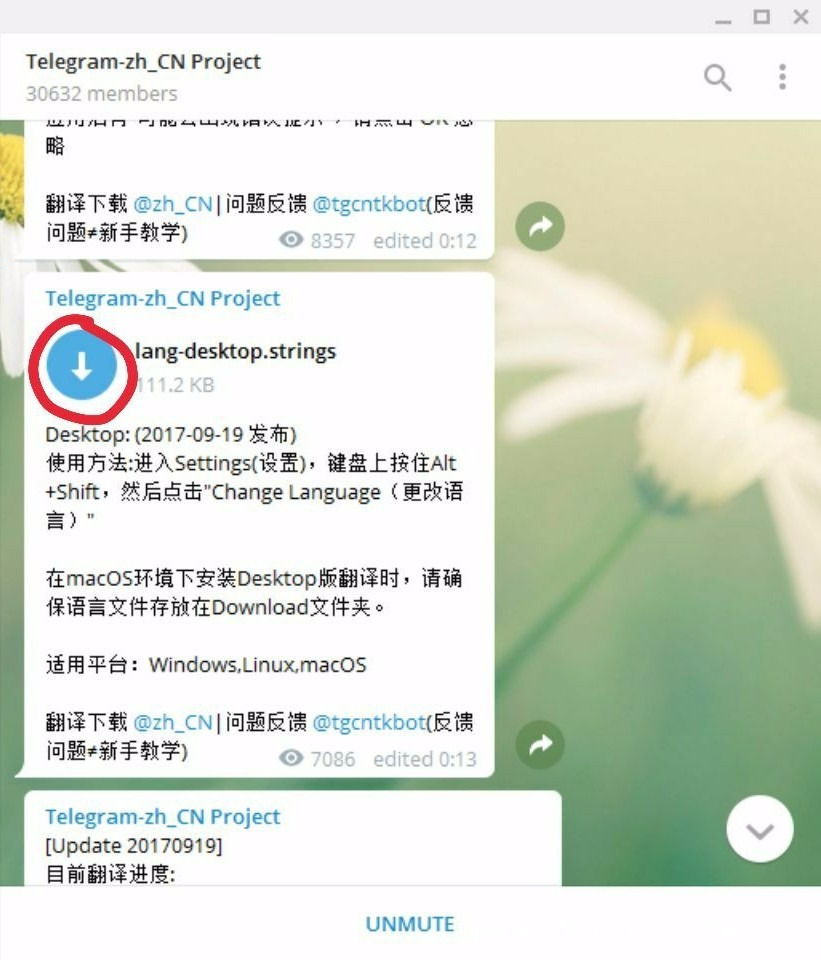 电报怎么扫码进群-telegram怎么扫一扫加人