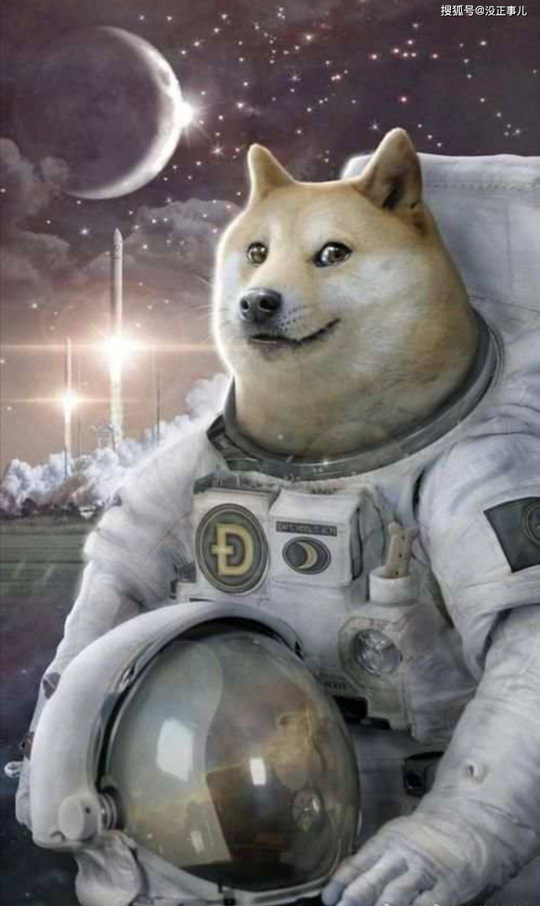 doge-女生发doge啥意思