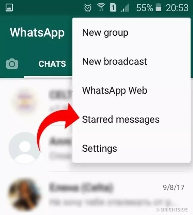 whatsapp聊天软件下载-whatsapp downloadapk