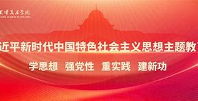 苹果飞机聊天软件怎么设置中文-苹果飞机聊天软件怎么设置中文版