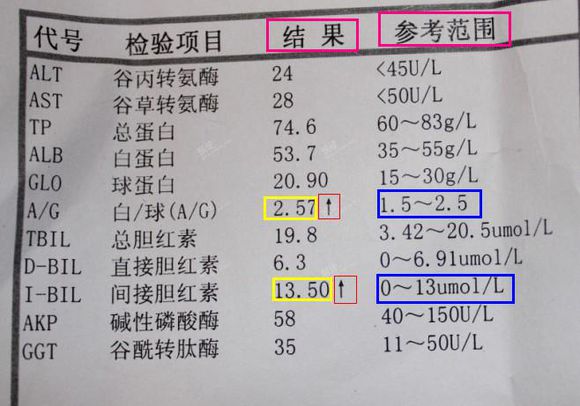 TP钱包-tp钱包地址下载