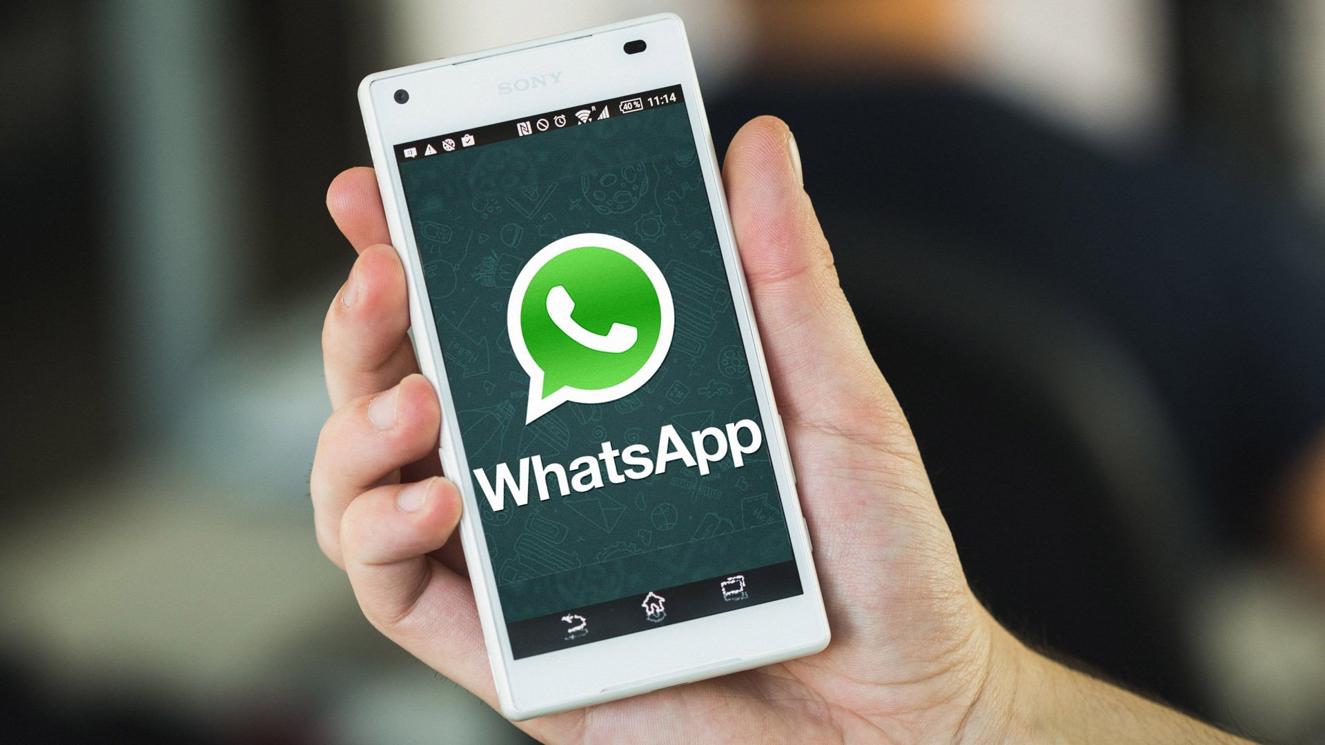 whatsapp官网入口-whats app安卓版下载