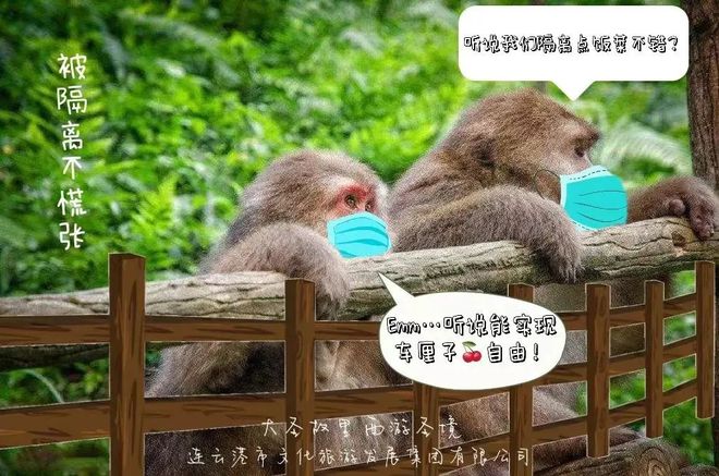 关于花果山电报猴无消音原视频的信息