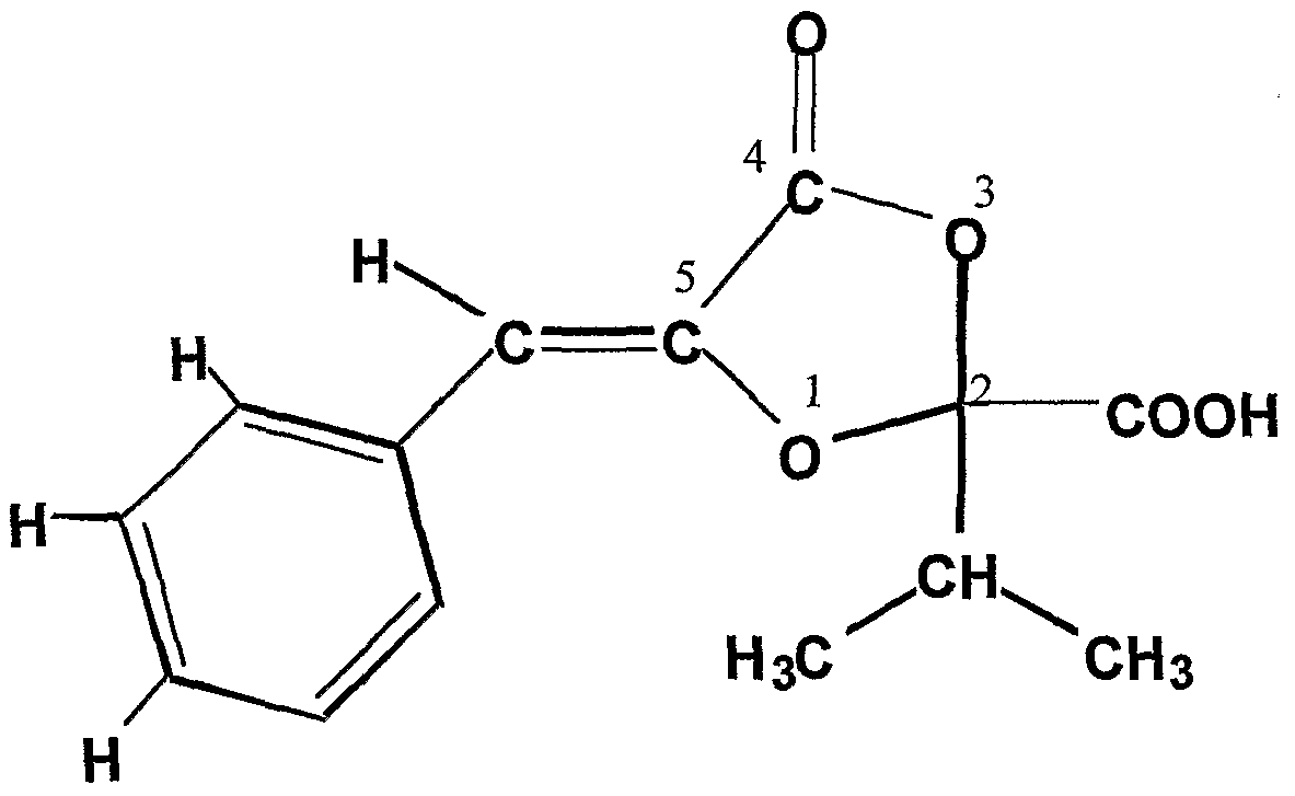 包含particularlyisolated的词条