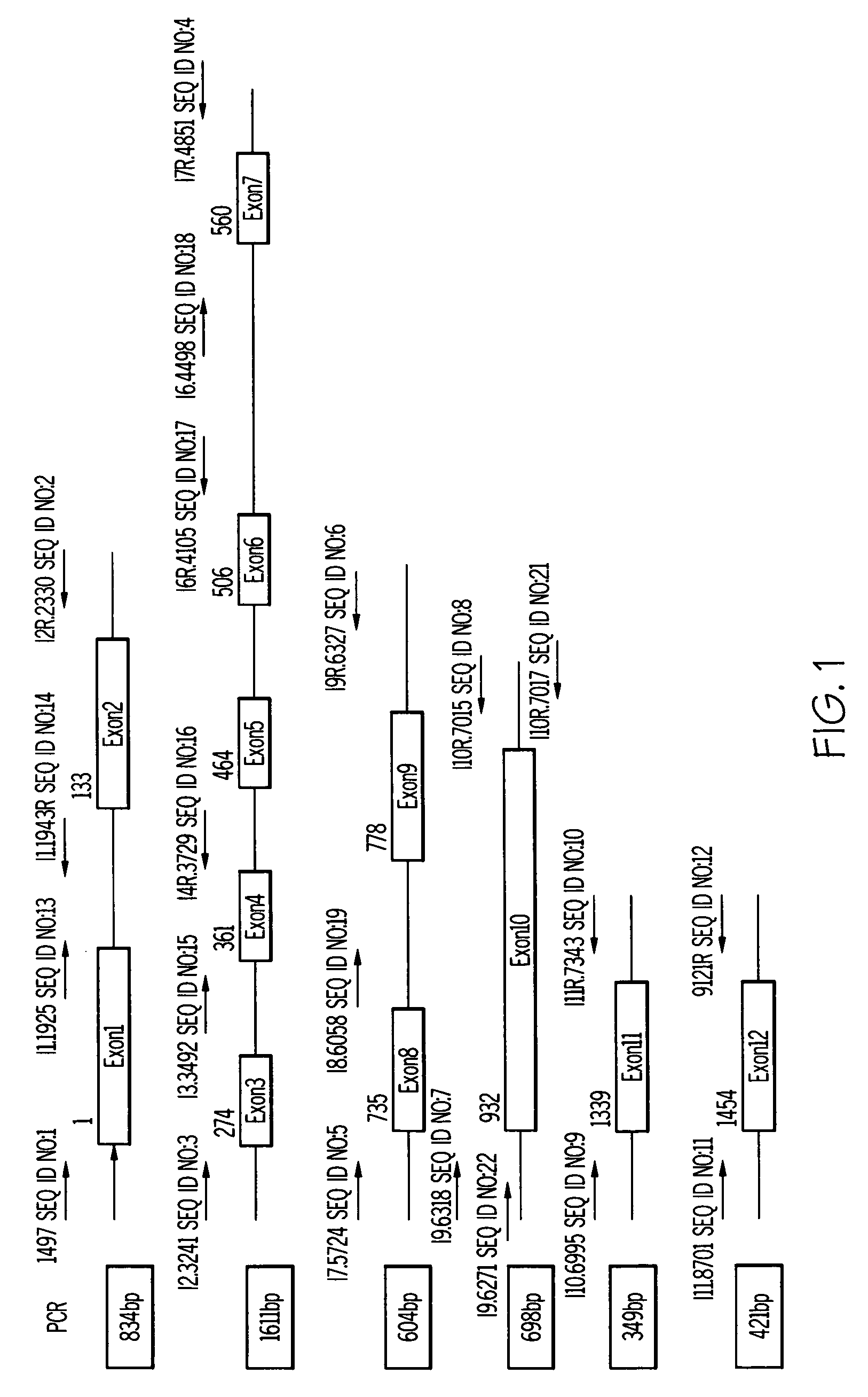 包含particularlyisolated的词条