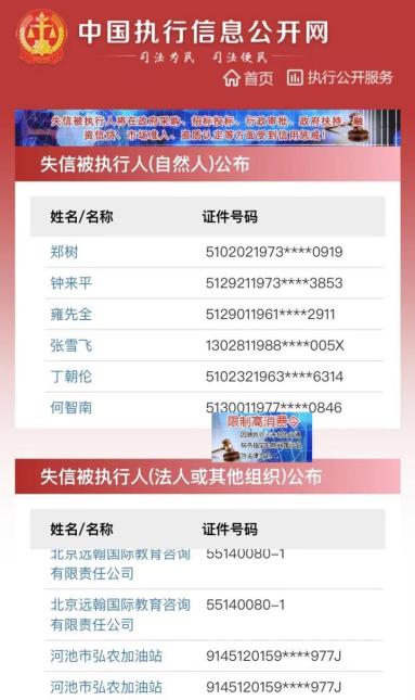 中国执行信息公开网-中国执行信息公开网失信人员查询