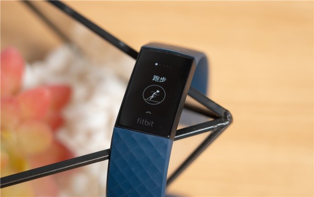 fitbit-fitbit官网