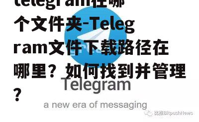 telegram文件怎么打开-telegraph下载文件位置