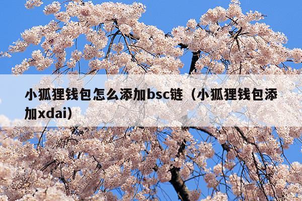 小狐狸钱包打不开怎么办呢苹果、小狐狸钱包打不开怎么办呢苹果版