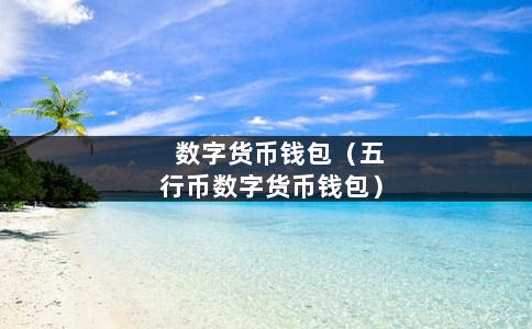 tp钱包memo怎么看、tp钱包怎么查看前10地址