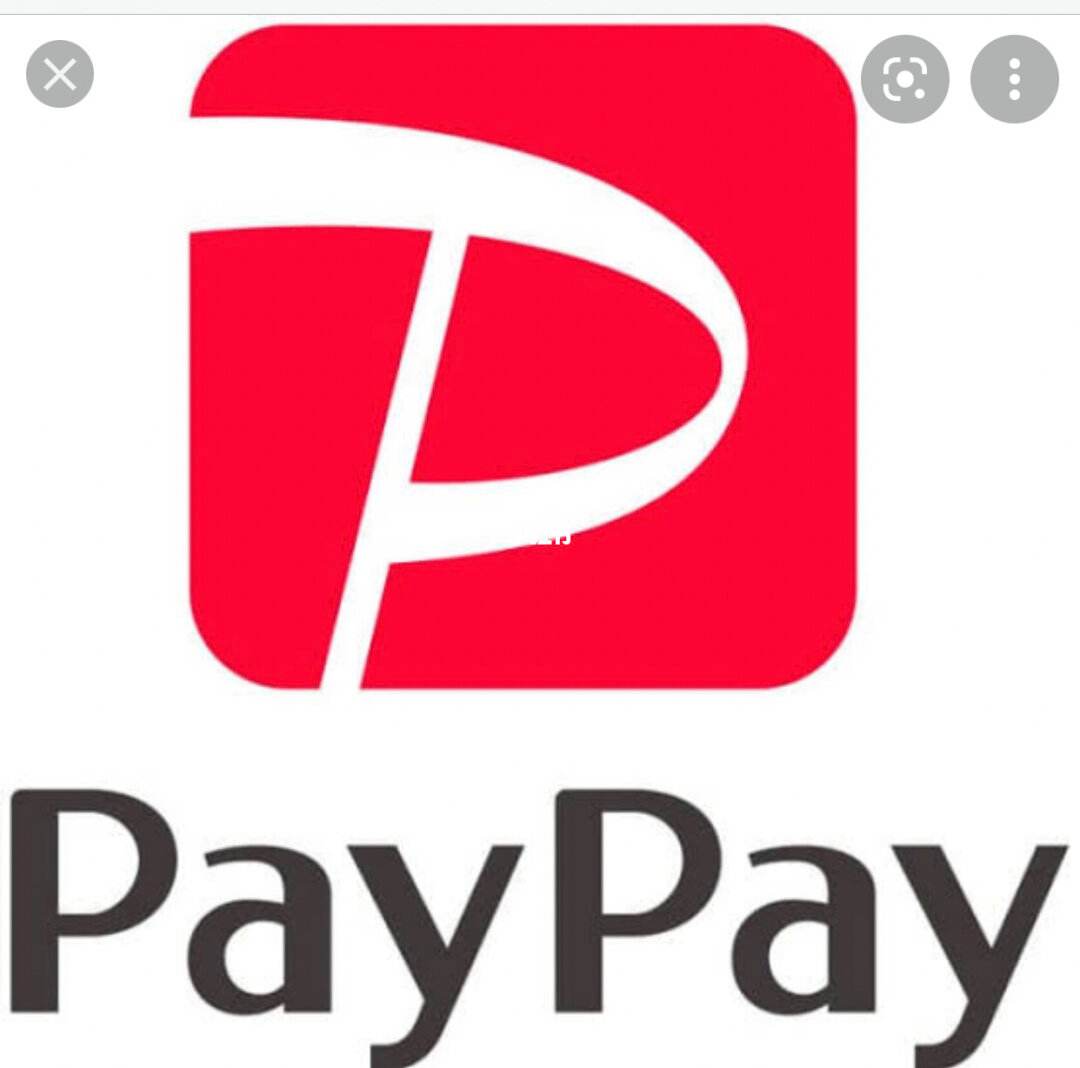 paypay钱包、pay钱包怎么使用