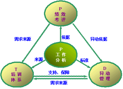 ptd币、ptd币的项目方