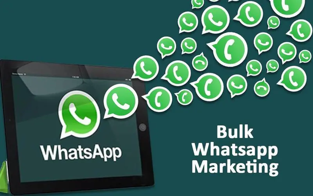 whatsapp下载官网、whatsapp app下载