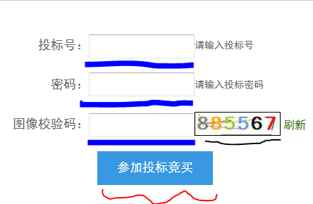 100%正确验证码、100%正确验证码加手机号