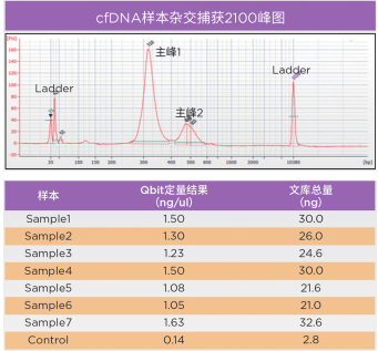 truseq文库的简单介绍