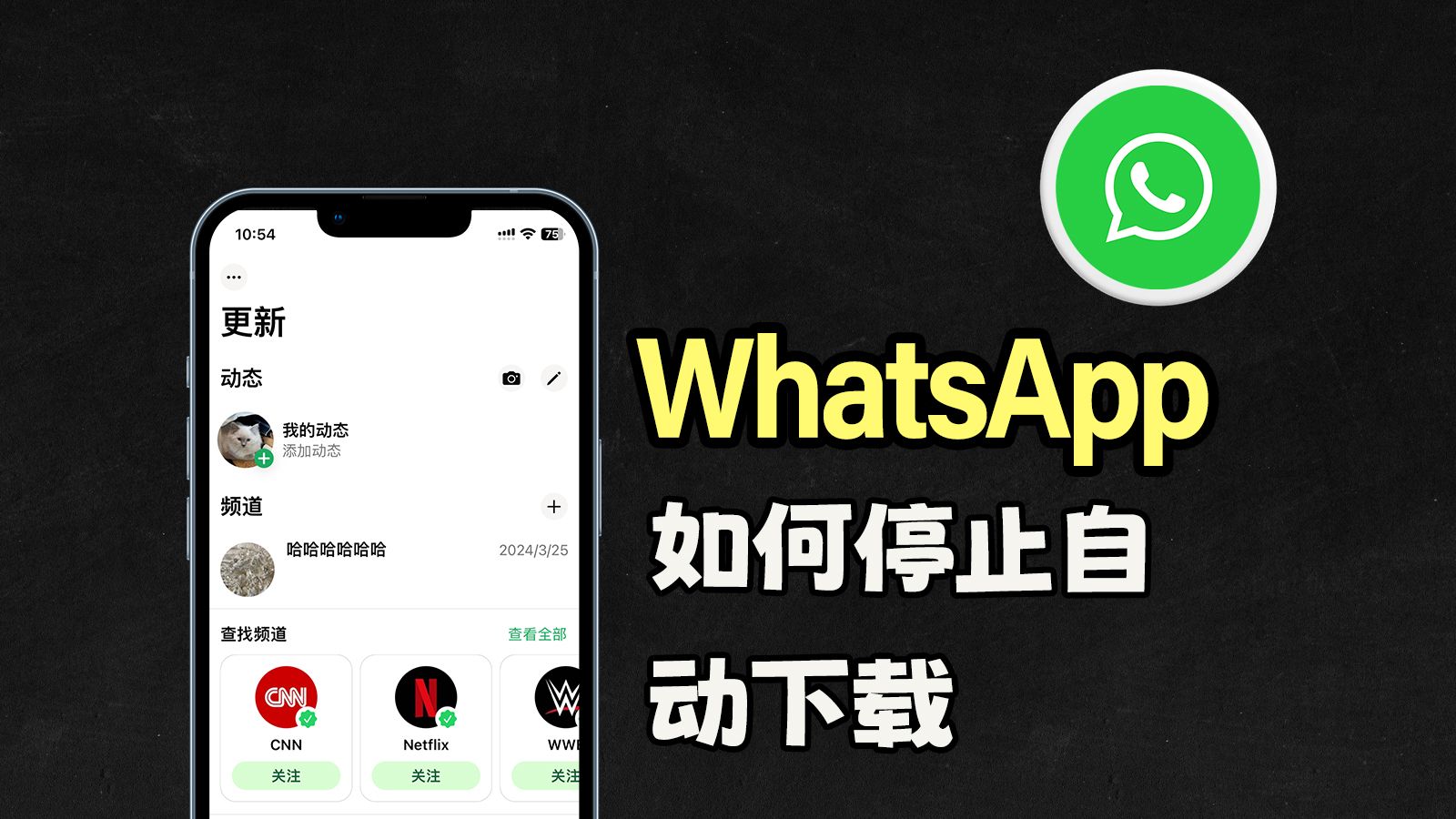 whatsapp下载不了跳出下载付款的简单介绍