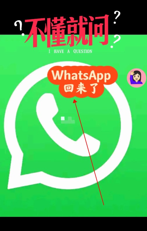 包含whatsapp属于什么软件的词条