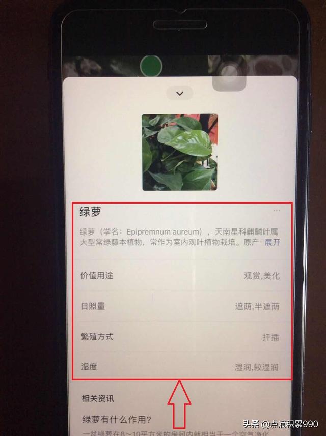 纸飞机的扫一扫功能在哪里的简单介绍