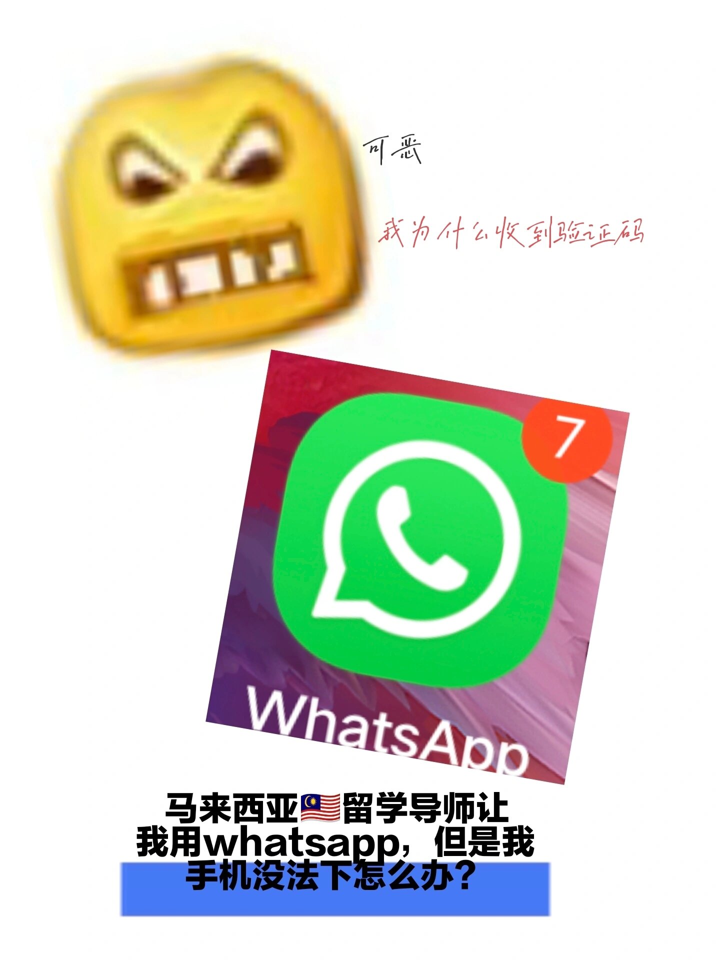 whatsapp安卓版下载百度云、whatsapp安卓手机版下载v22020624免费下载