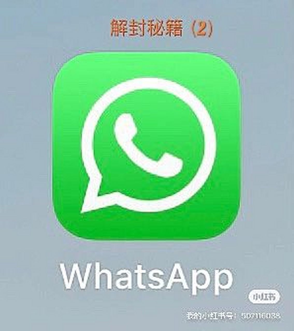 whatsapp中文下载安装、whatsapp最新官方下载中文