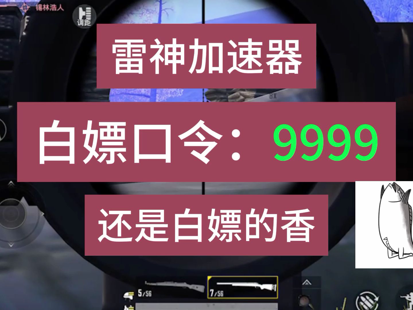 雷神加速器、雷神加速器和uu加速器哪个好