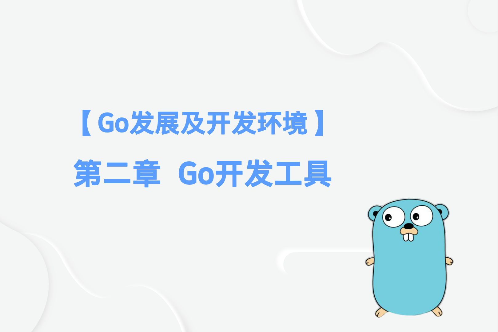 go安装器、go安装器你的网络出现问题请检查后再试