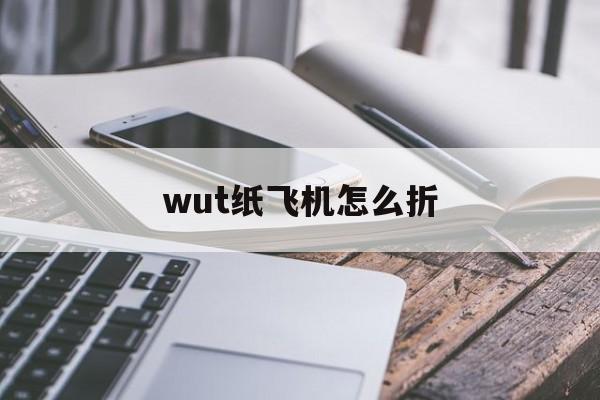 wut纸飞机怎么折[又酷又能飞的纸飞机怎么折]